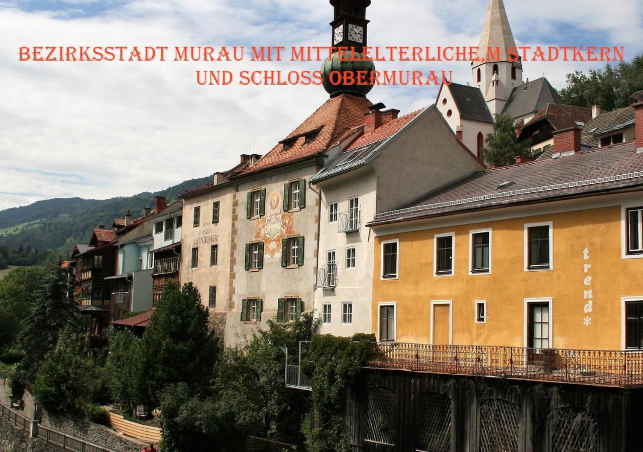 Fewo Gabi Haus Pacher Sankt Peter am Kammersberg 외부 사진